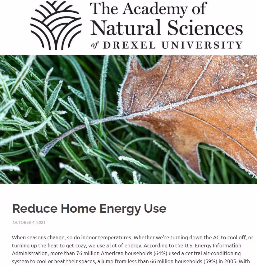 ideal match for relevance