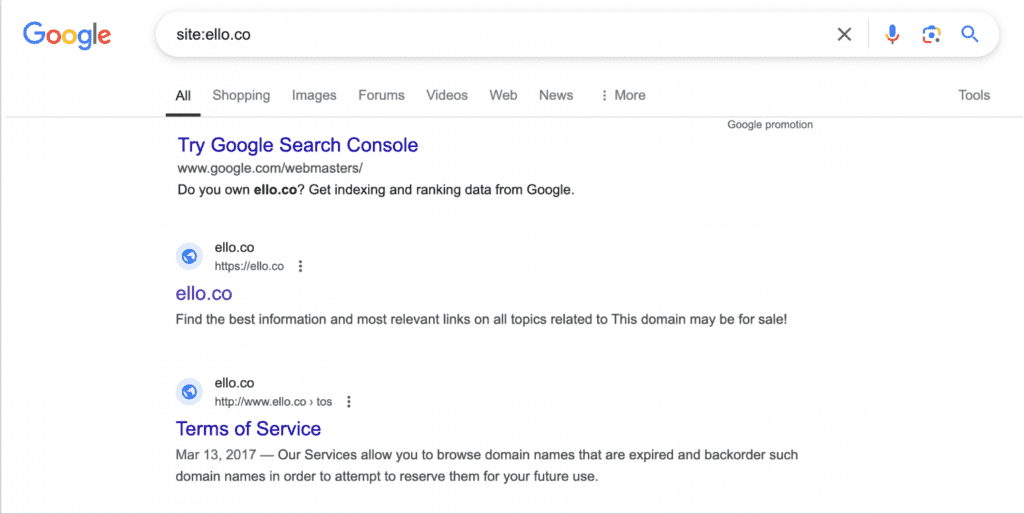 check the expired domain index status