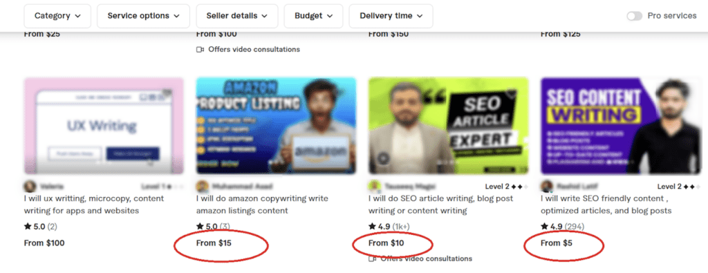 cheap writers from fiverr